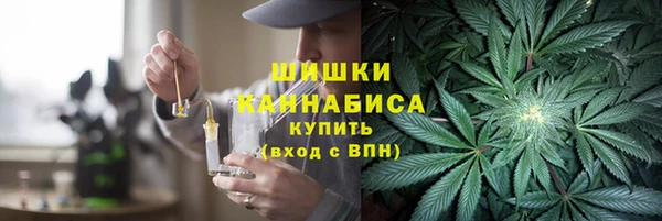 гидра Верея