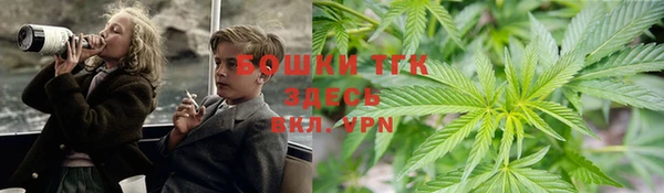гидра Верея