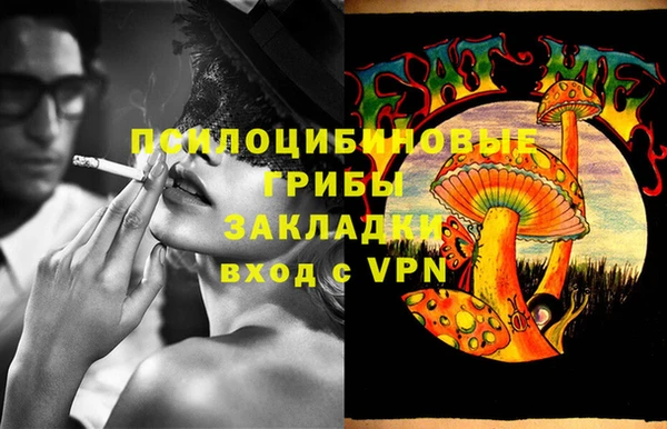 spice Верхний Тагил