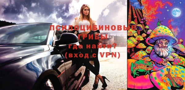spice Верхний Тагил