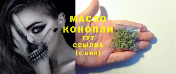 гидра Верея