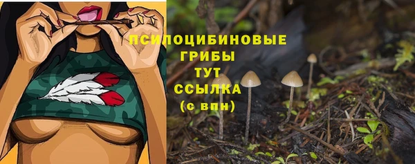гидра Верея